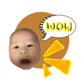 528961900