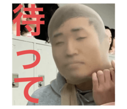 528989932