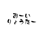 528990096