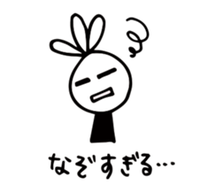 52899246