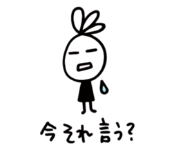 52899253