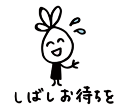 52899268