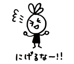 52899270