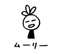 52899273