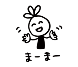 52899276