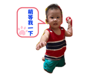 529000409