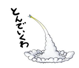 5290116