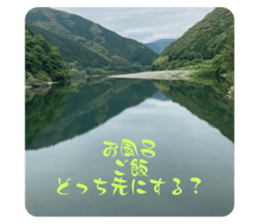 529017312