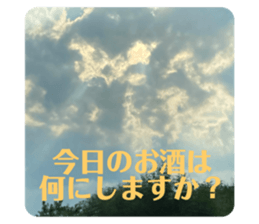 529017313