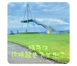 529017316