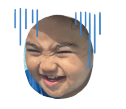 529024775