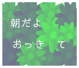 529037329