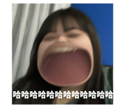 529049798