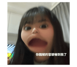 529049802