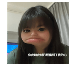 529049811