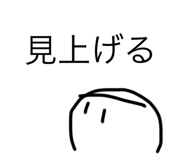 529051347