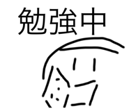 529051351