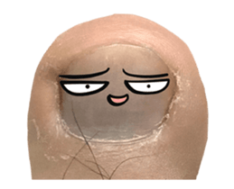 529059885