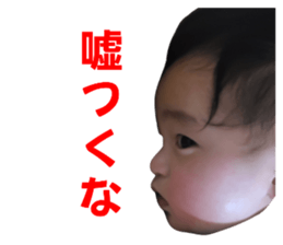 529064857