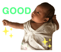 529065373