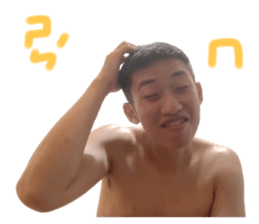 529079176