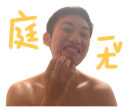 529079202