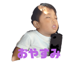 529081532