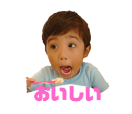 529081534