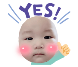 529084309