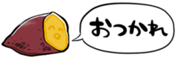 529227842