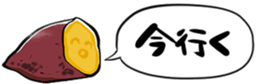 529227866