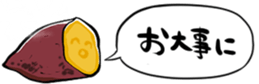 529227869
