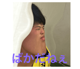 529241431