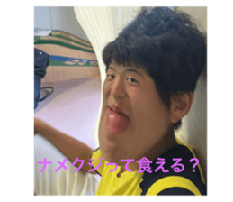 529241433