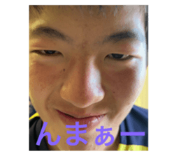 529241437