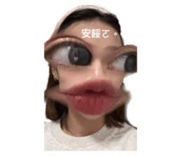 529250646