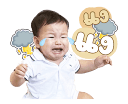 529273060