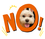 529277307