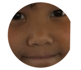 529277411