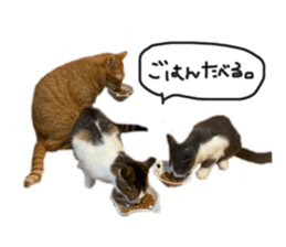 529278621