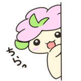 529309567