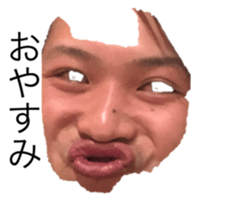 529317304