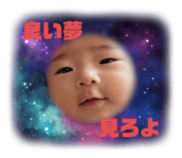 529320799