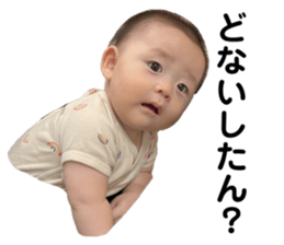 529331828