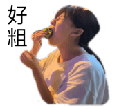529332055