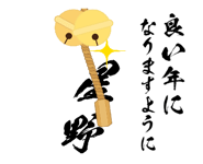 529343804