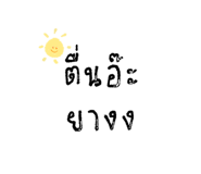 529369505
