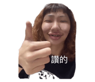 529380041