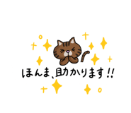529385268