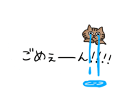 529385272
